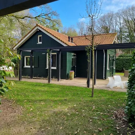 Holiday home De Bosfluiter