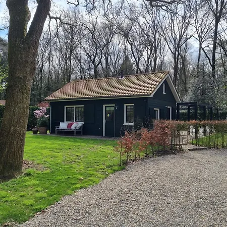 Holiday home De Bosfluiter Garderen