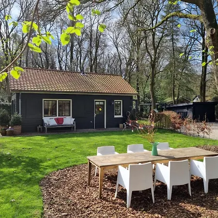 Holiday home De Bosfluiter *