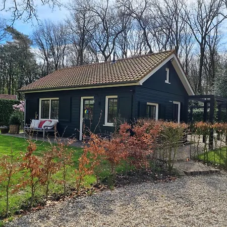 Holiday home De Bosfluiter