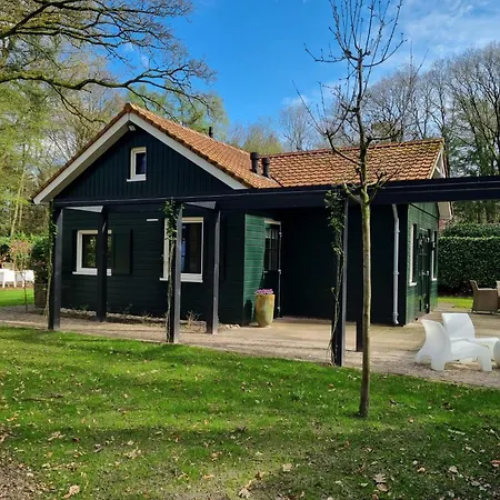 De Bosfluiter Holiday home