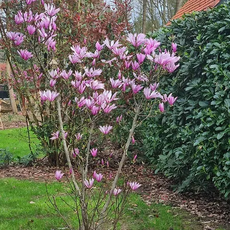 De Bosfluiter Garderen